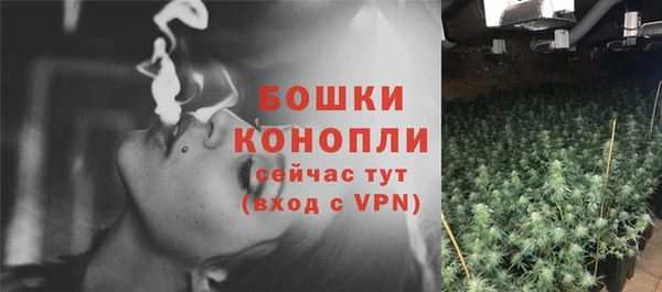 apvp Кукмор