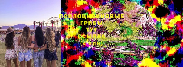 mdpv Краснотурьинск